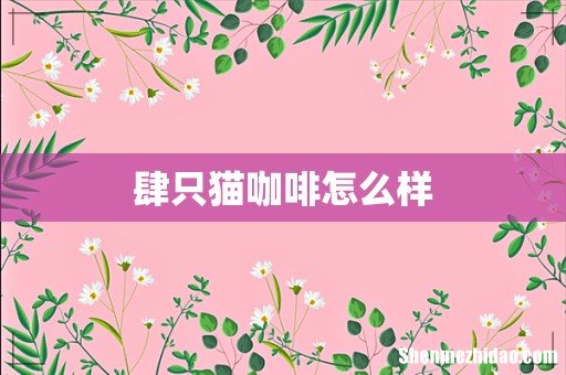 肆只猫咖啡怎么样