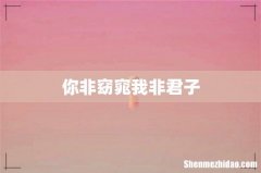 你非窈窕我非君子