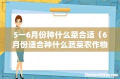 6月份适合种什么蔬菜农作物 5一6月份种什么菜合适