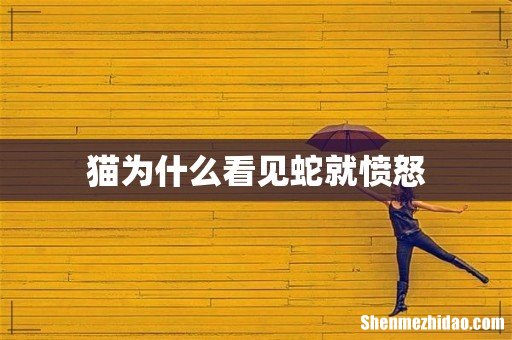 猫为什么看见蛇就愤怒