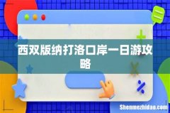 西双版纳打洛口岸一日游攻略