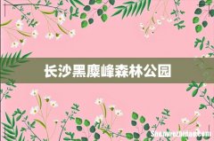 长沙黑麋峰森林公园