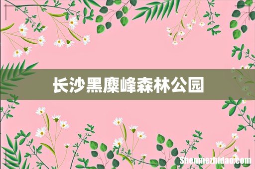 长沙黑麋峰森林公园