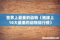 地球上10大最重的动物排行榜 世界上最重的动物