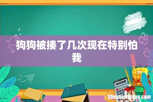 狗狗被揍了几次现在特别怕我