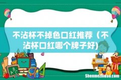 不沾杯不掉色口红推荐（不沾杯口红哪个牌子好)