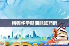 狗狗怀孕期间能吃药吗