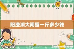 阳澄湖大闸蟹一斤多少钱
