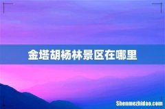 金塔胡杨林景区在哪里