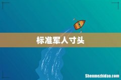 标准军人寸头