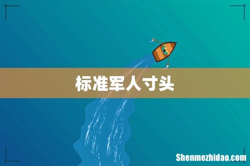 标准军人寸头