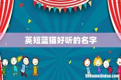 英短蓝猫好听的名字