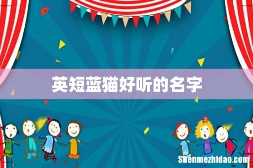 英短蓝猫好听的名字