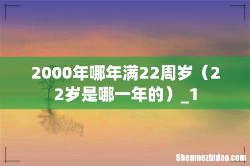 22岁是哪一年的 2000年哪年满22周岁_1