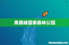 黑麋峰国家森林公园