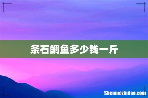 条石鲷鱼多少钱一斤