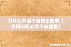 为何阳明心学不被重视 为什么中国不宣传王阳明