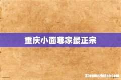 重庆小面哪家最正宗