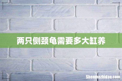 两只侧颈龟需要多大缸养