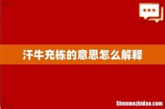 汗牛充栋的意思怎么解释