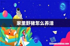 家里野猪怎么养活