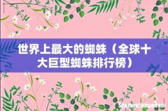 全球十大巨型蜘蛛排行榜 世界上最大的蜘蛛