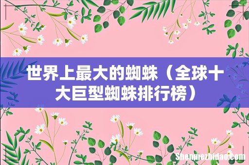 全球十大巨型蜘蛛排行榜 世界上最大的蜘蛛