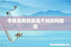 手我是有的就是不知如何碰你