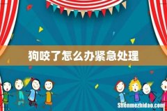 狗咬了怎么办紧急处理
