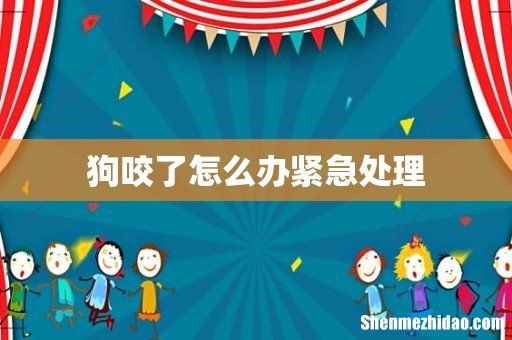 狗咬了怎么办紧急处理