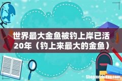 钓上来最大的金鱼 世界最大金鱼被钓上岸已活20年