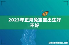 2023年正月兔宝宝出生好不好