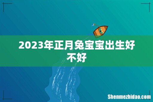 2023年正月兔宝宝出生好不好