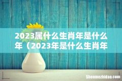 2023年是什么生肖年 2023属什么生肖年是什么年