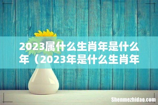 2023年是什么生肖年 2023属什么生肖年是什么年