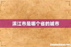 滨江市是哪个省的城市