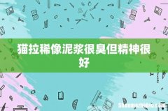 猫拉稀像泥浆很臭但精神很好