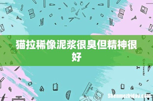 猫拉稀像泥浆很臭但精神很好