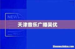 天津音乐广播吴优