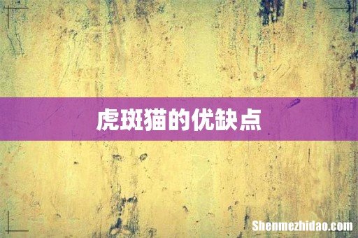 虎斑猫的优缺点