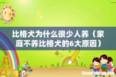 家庭不养比格犬的6大原因 比格犬为什么很少人养