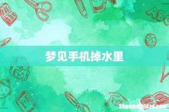 梦见手机掉水里