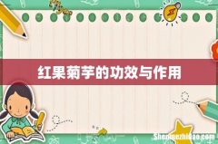 红果菊芋的功效与作用