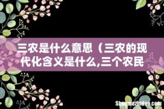 三农的现代化含义是什么,三个农民吗 三农是什么意思