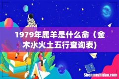 1979年属羊是什么命（金木水火土五行查询表)