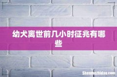 幼犬离世前几小时征兆有哪些