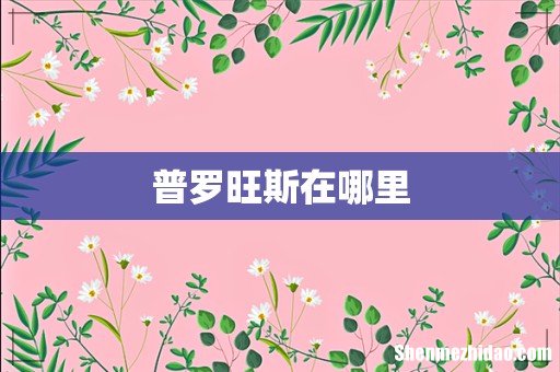 普罗旺斯在哪里