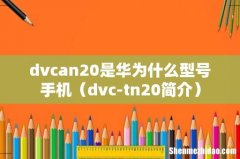 dvc-tn20简介 dvcan20是华为什么型号手机