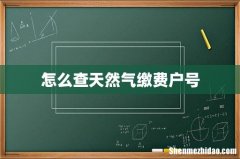 怎么查天然气缴费户号