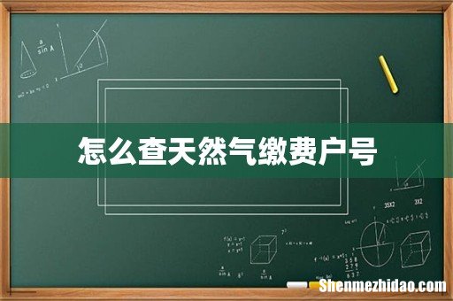 怎么查天然气缴费户号